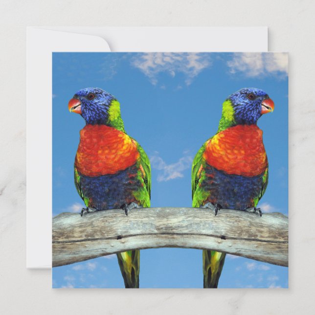 Rainbow lorikeets two perched on a branch save the date (Front)
