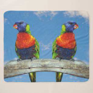 Rainbow lorikeets two perched on a branch sherpa blanket