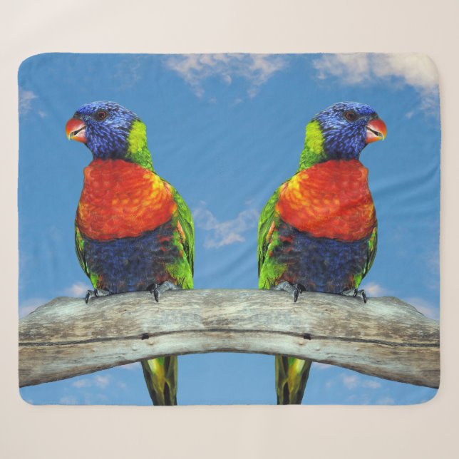 Rainbow lorikeets two perched on a branch sherpa blanket (Front (Horizontal))