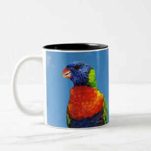 Rainbow lorikeets two perched on a branch Two-Tone coffee mug