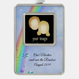 Rainbow Loss Ornament