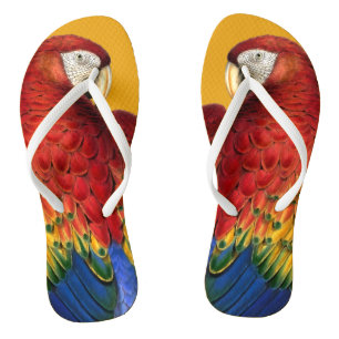 Rainbow Macaw Parrot Lover Bold and Summery Thongs
