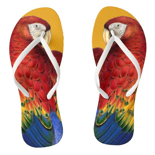 Rainbow Macaw Parrot Lover Bold and Summery Thongs (Footbed)