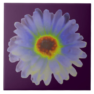Rainbow Marigold Tile