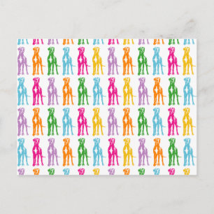 Rainbow Mastiff Pattern Postcard