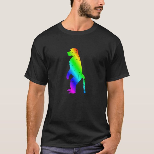 Rainbow Monkey Silhouette Graphic Design T-Shirt (Front)