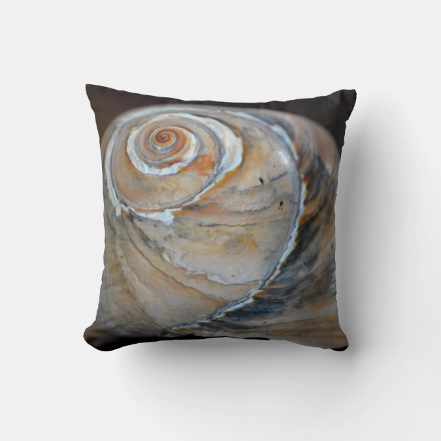 Rainbow Moonsnail Cushion (Front)