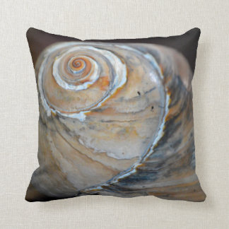 Rainbow Moonsnail Cushion
