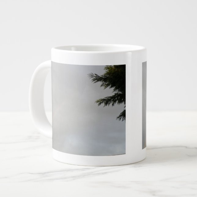 Rainbow Mug (Front Left)