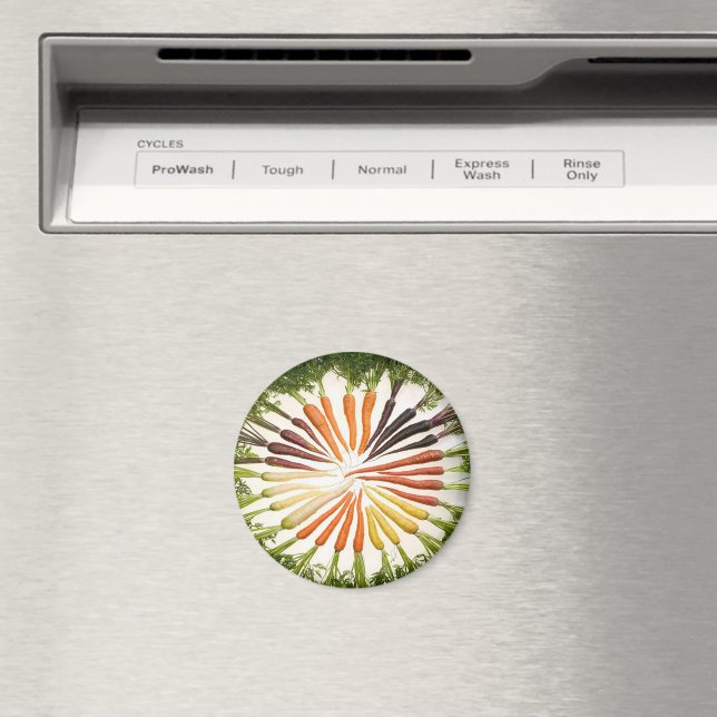 Rainbow Multicolored Carrots Magnet (In Situ (Dishwasher))