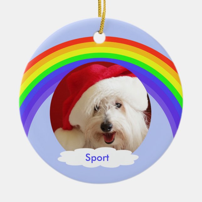 Rainbow on Blue Dog Memorial Christmas Ornament (Front)