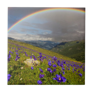 Rainbow Over A Flowering Meadow Ceramic Tile