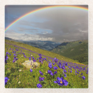 Rainbow Over A Flowering Meadow Glass Coaster