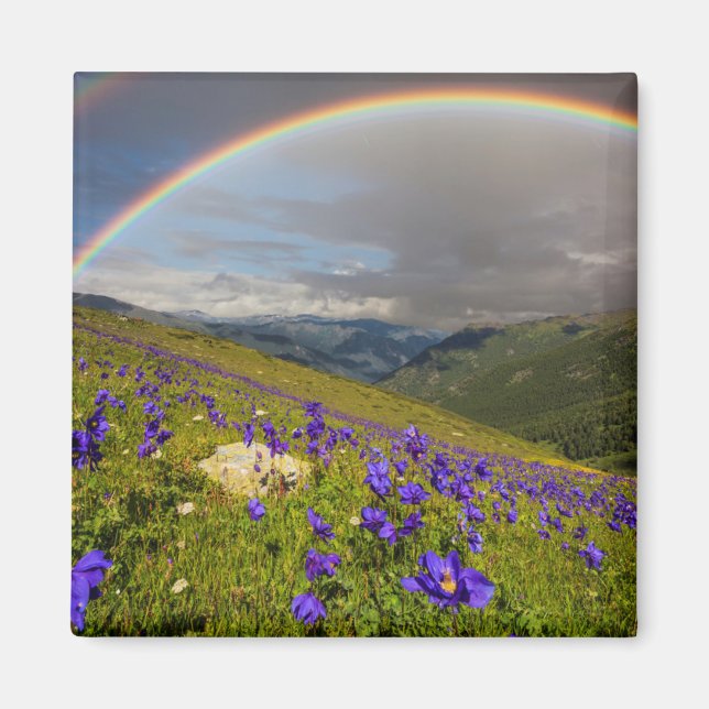 Rainbow Over A Flowering Meadow Magnet (Front)