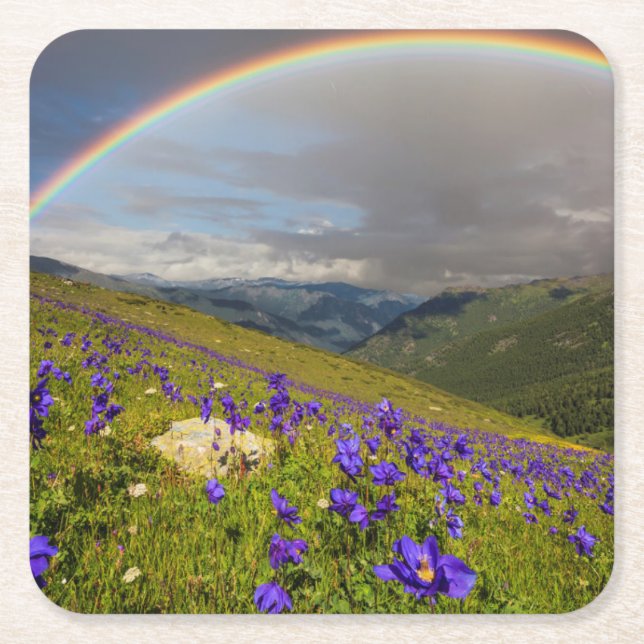 Rainbow Over A Flowering Meadow Square Paper Coaster (Front)