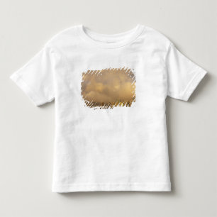 Rainbow over Honolulu, Hawaii, USA 3 Toddler T-Shirt