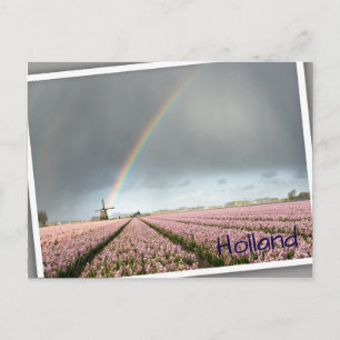 Rainbow over hyacinths and a windmill in Holland Postcard