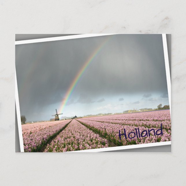 Rainbow over hyacinths and a windmill in Holland Postcard (Front)