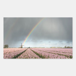 Rainbow over hyacinths and a windmill in Holland Rectangular Sticker