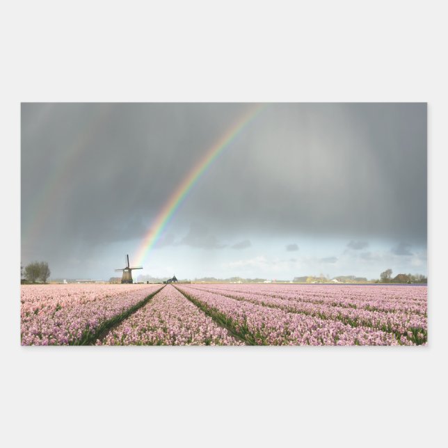 Rainbow over hyacinths and a windmill in Holland Rectangular Sticker (Front)