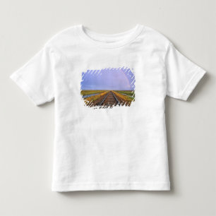Rainbow over railroad tracks near Fairfield Toddler T-Shirt