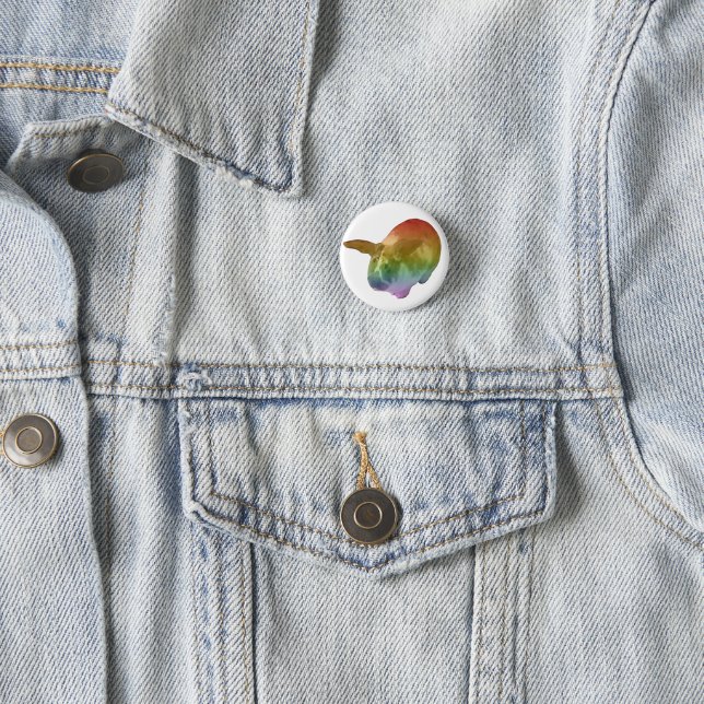 Rainbow Paddy Badge (In Situ)
