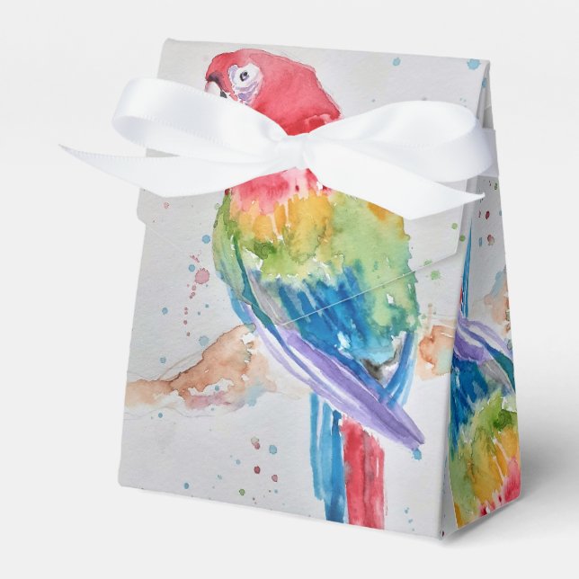 Rainbow Parrot Bird Child Birthday Cake Favour Box (Front Side)