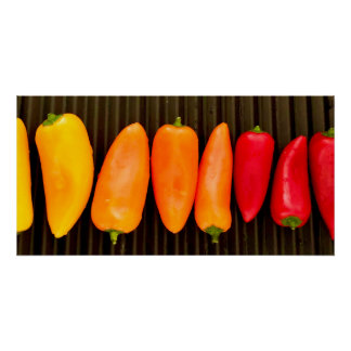 Rainbow Peppers  Poster