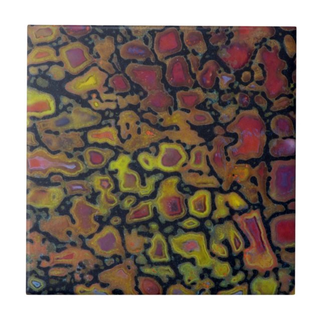 Rainbow Petrified Dinosaur Bone Ceramic Tile (Front)