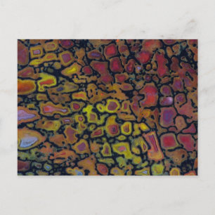 Rainbow Petrified Dinosaur Bone Postcard