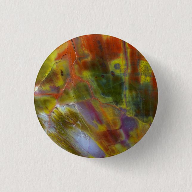 Rainbow Petrified Wood 3 Cm Round Badge (Front)