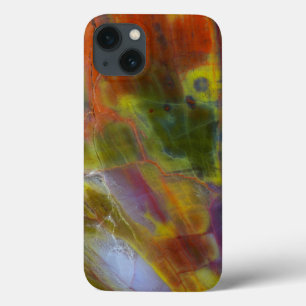 Rainbow Petrified Wood iPhone 13 Case