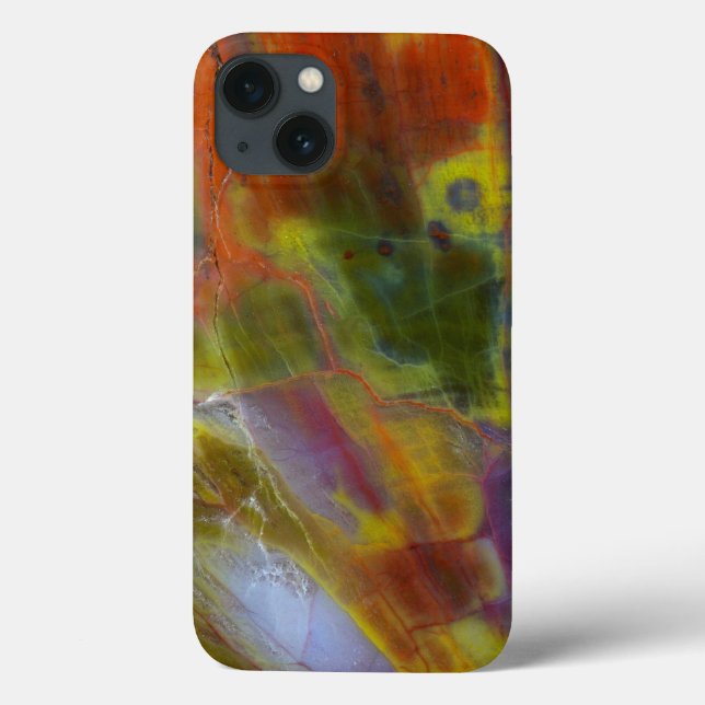 Rainbow Petrified Wood Case-Mate iPhone Case (Back)