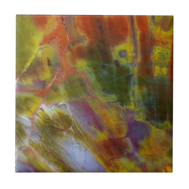 Rainbow Petrified Wood Ceramic Tile (Front)