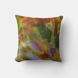 Rainbow Petrified Wood Cushion
