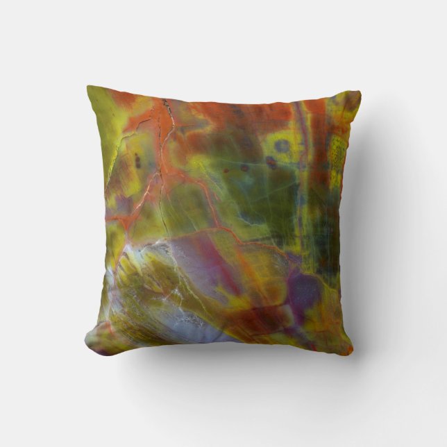 Rainbow Petrified Wood Cushion (Front)