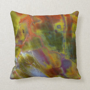 Rainbow Petrified Wood Cushion