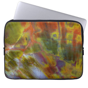 Rainbow Petrified Wood Laptop Sleeve