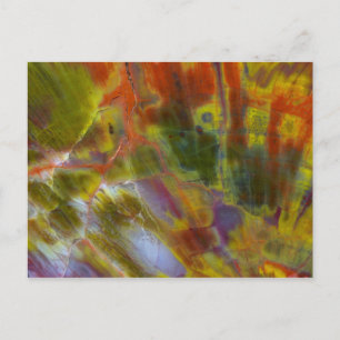 Rainbow Petrified Wood Postcard