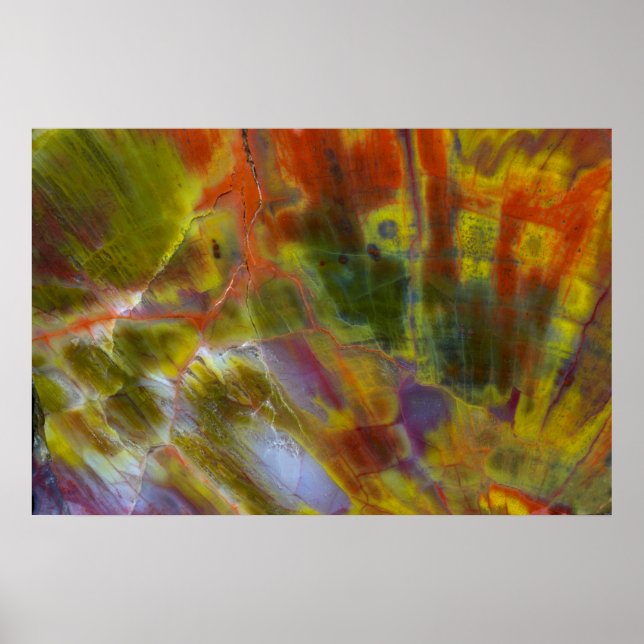 Rainbow Petrified Wood Poster (Front)