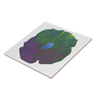 Rainbow Petunia Tile