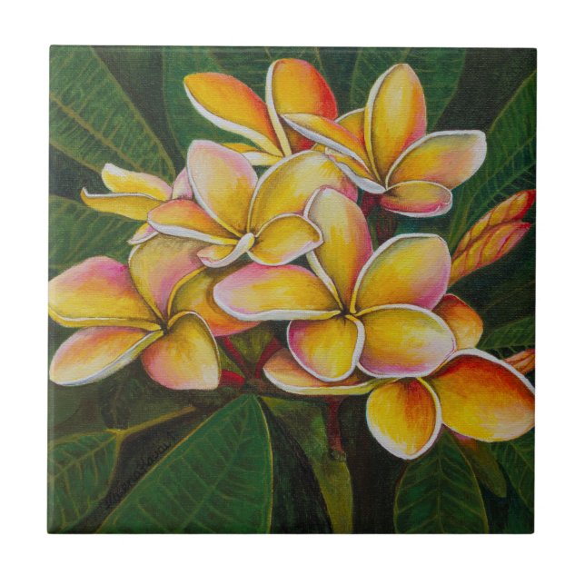 Rainbow Plumeria Ceramic Tile (Front)