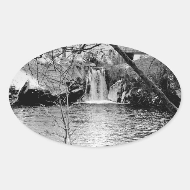 RAINBOW POOL, NEAR YOSEMITE: BARE BRANCHES #11 OVAL STICKER (Front)