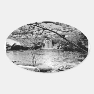 RAINBOW POOL, NEAR YOSEMITE: BARE BRANCHES #11 OVAL STICKER