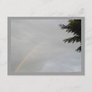 Rainbow Postcard