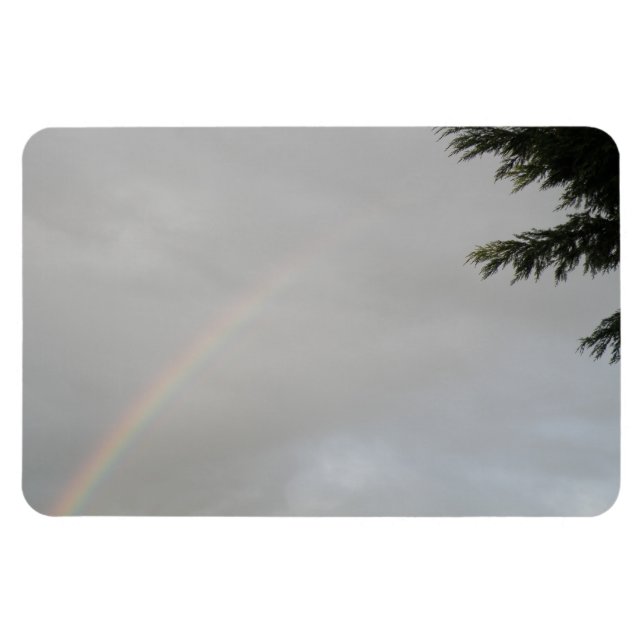 Rainbow Premium Magnet (Horizontal)