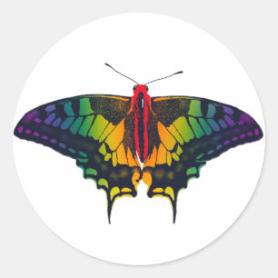 Rainbow Pride Flag Swallowtail Butterfly Classic Round Sticker