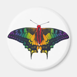 Rainbow Pride Flag Swallowtail Butterfly Magnet