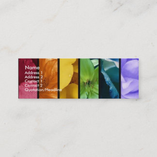 Rainbow Pride Profile Card