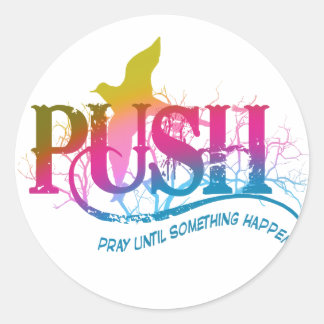 Rainbow PUSH Classic Round Sticker